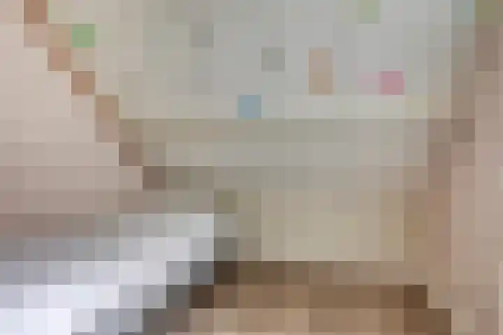 Dasseweide 13 Veghel thumbnail 32