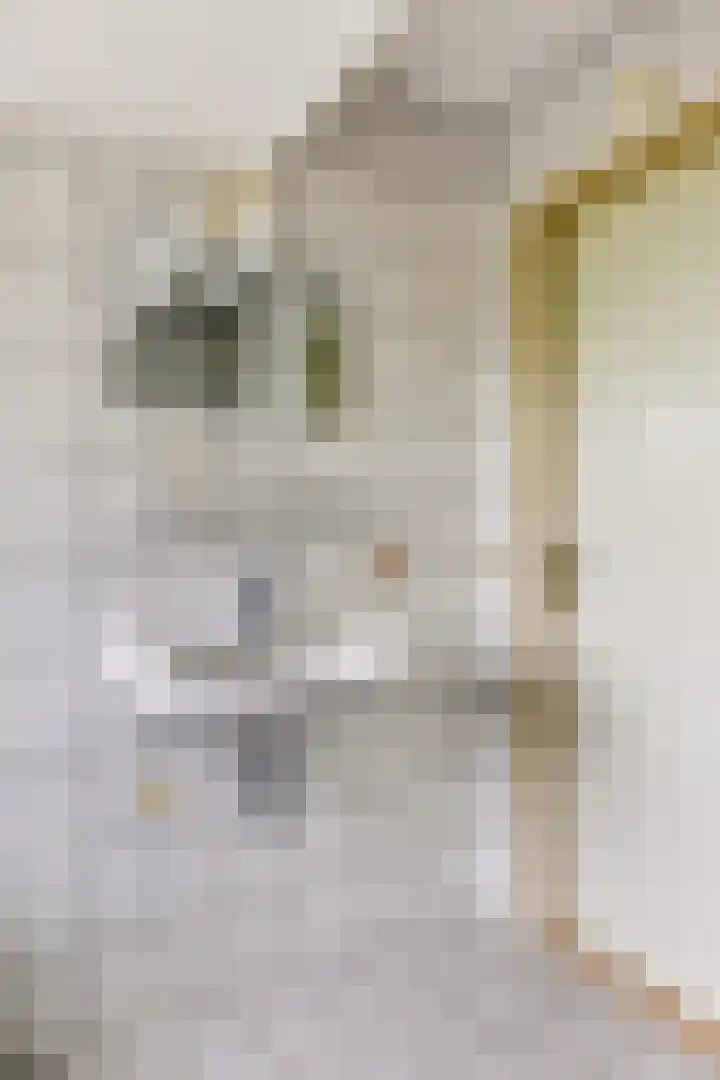 Dasseweide 13 Veghel thumbnail 35