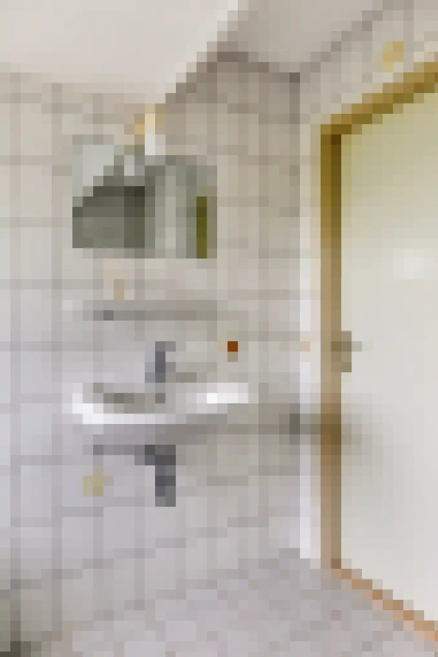 Dasseweide 13 Veghel thumbnail 35