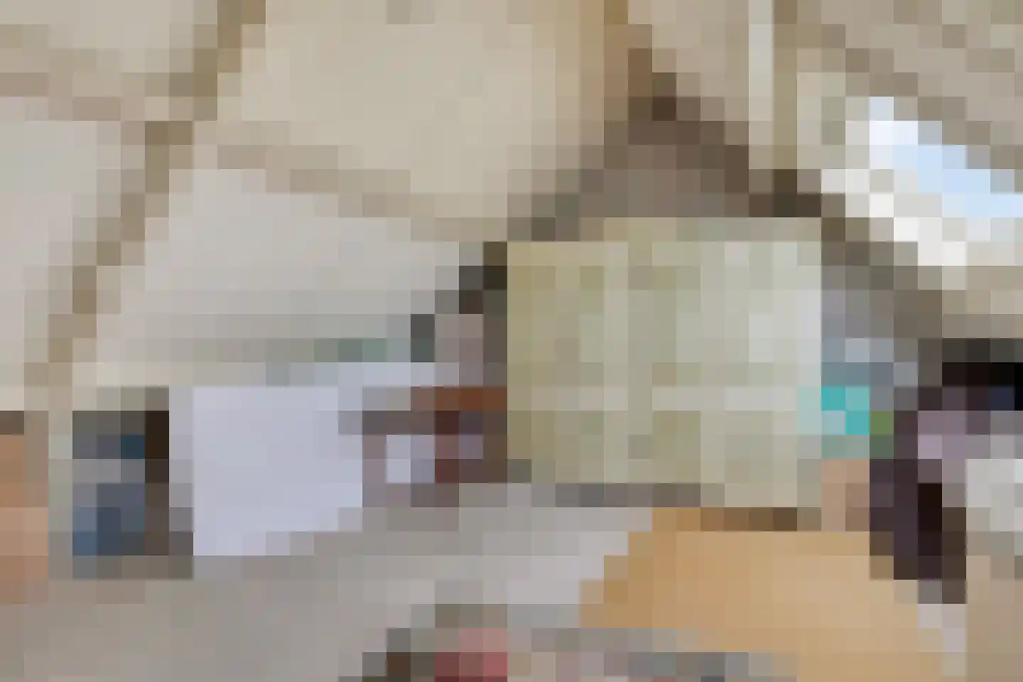 Dasseweide 13 Veghel thumbnail 36