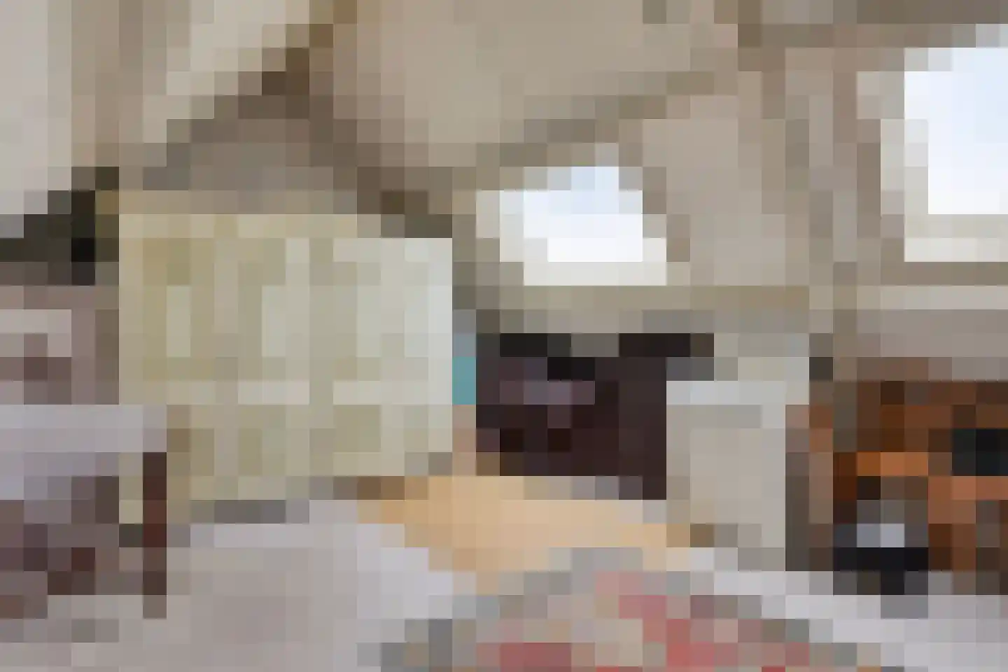 Dasseweide 13 Veghel thumbnail 37