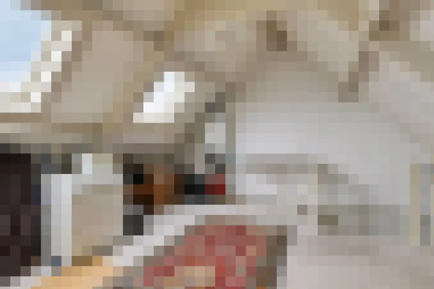 Dasseweide 13 Veghel thumbnail 38
