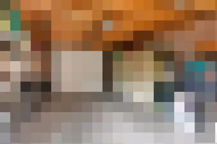Dasseweide 13 Veghel thumbnail 39