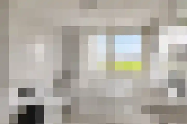Dasseweide 13 Veghel thumbnail 4