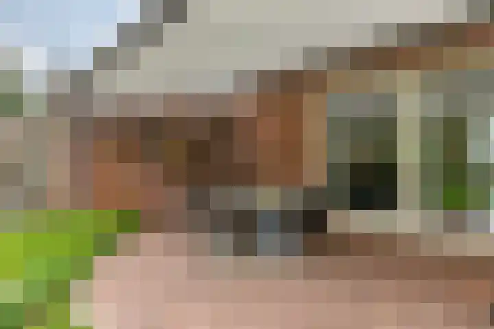 Dasseweide 13 Veghel thumbnail 42