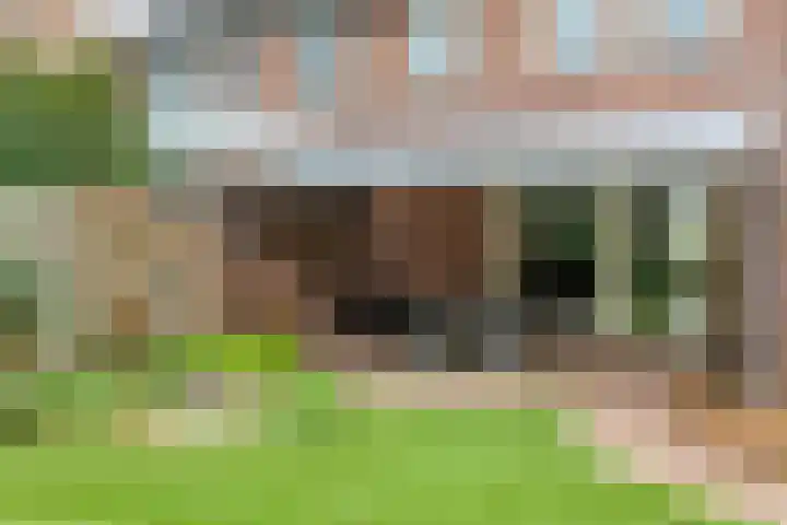 Dasseweide 13 Veghel thumbnail 43