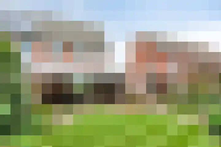 Dasseweide 13 Veghel thumbnail 44