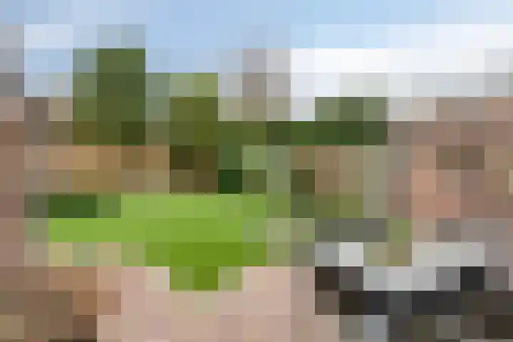 Dasseweide 13 Veghel thumbnail 46