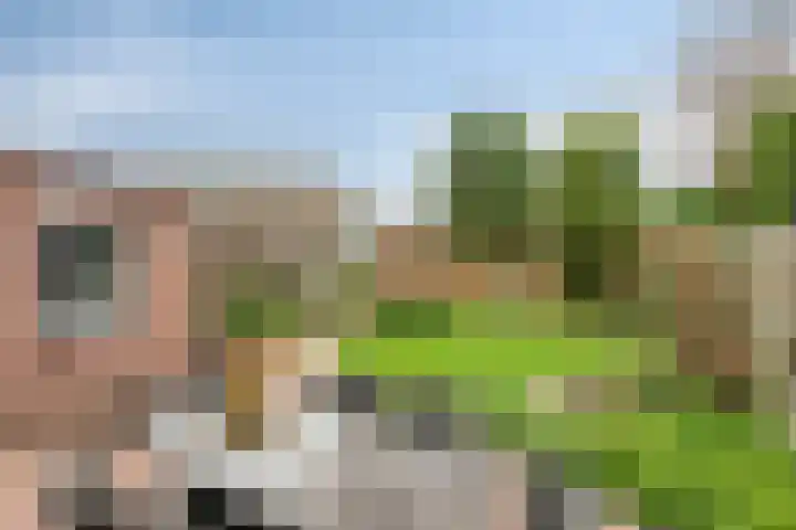 Dasseweide 13 Veghel thumbnail 47