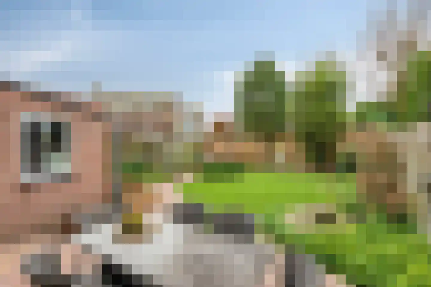 Dasseweide 13 Veghel thumbnail 47