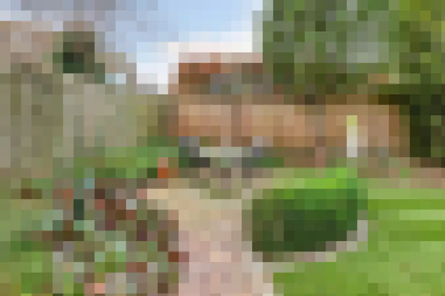 Dasseweide 13 Veghel thumbnail 48