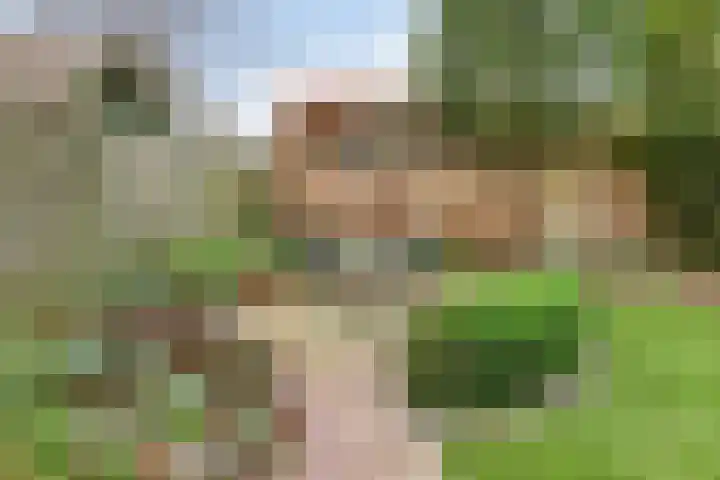 Dasseweide 13 Veghel thumbnail 48