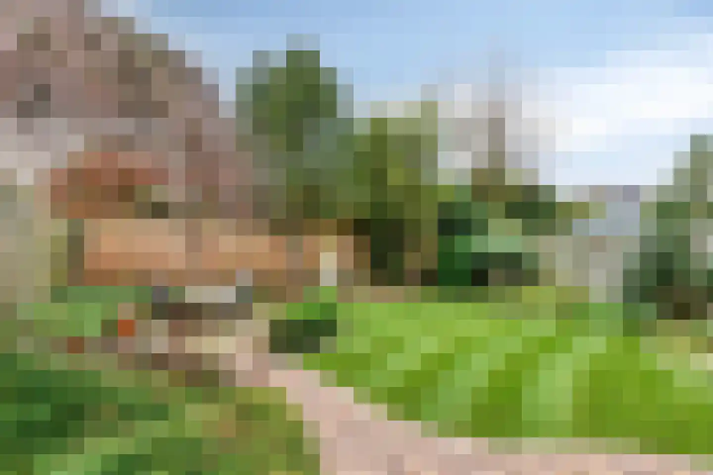 Dasseweide 13 Veghel thumbnail 49