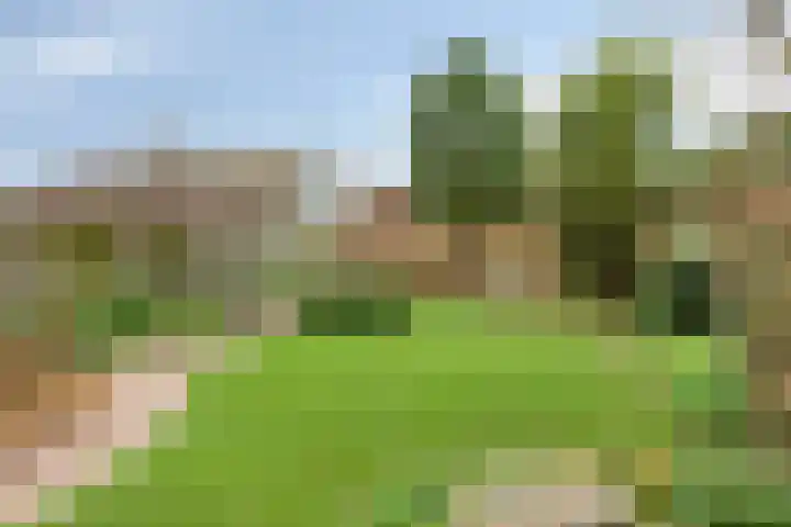 Dasseweide 13 Veghel thumbnail 5