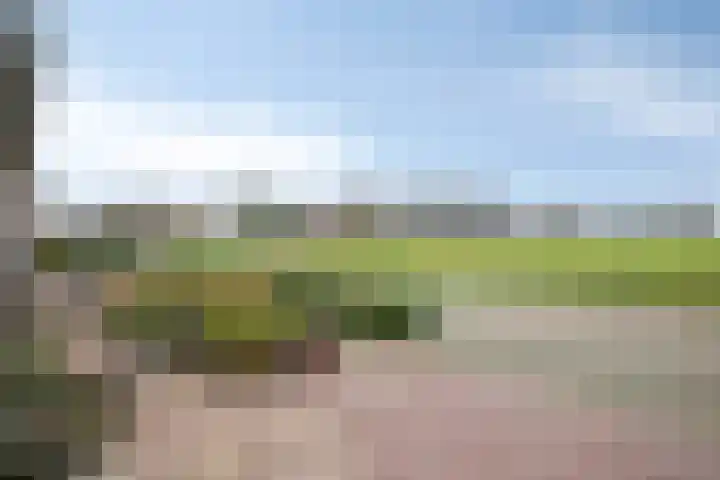 Dasseweide 13 Veghel thumbnail 50