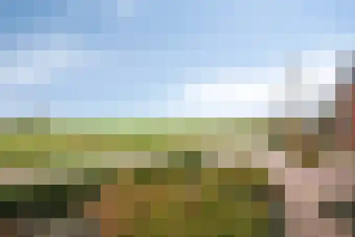 Dasseweide 13 Veghel thumbnail 51