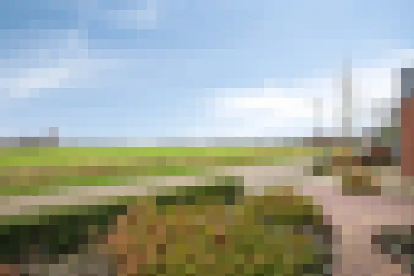 Dasseweide 13 Veghel thumbnail 51