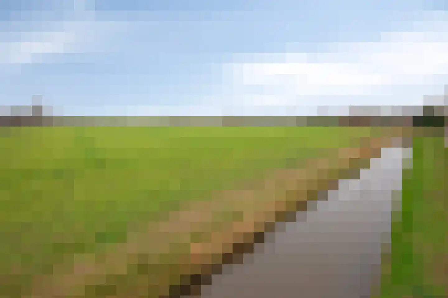 Dasseweide 13 Veghel thumbnail 52