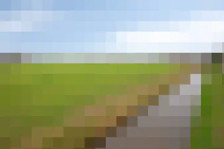 Dasseweide 13 Veghel thumbnail 52