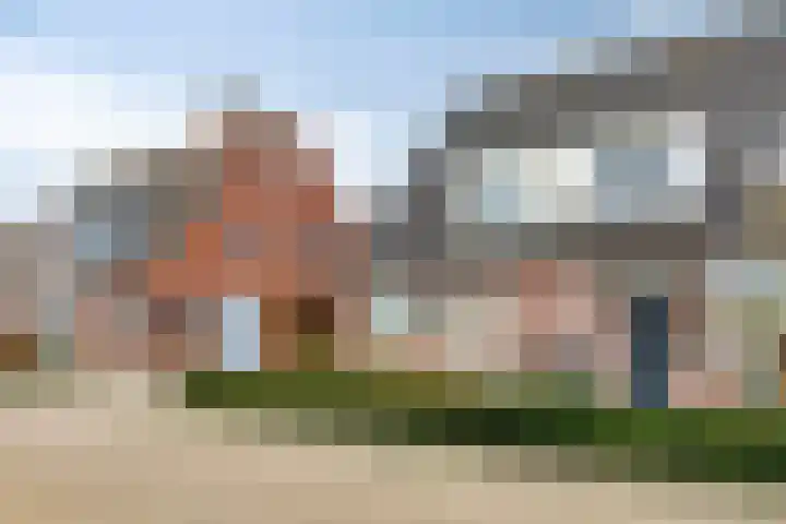 Dasseweide 13 Veghel thumbnail 7