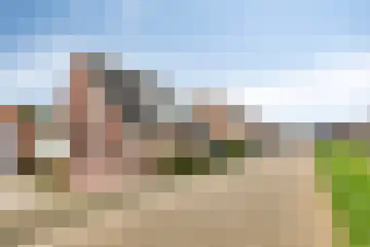 Dasseweide 13 Veghel thumbnail 8