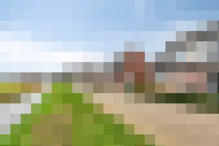 Dasseweide 13 Veghel thumbnail 9
