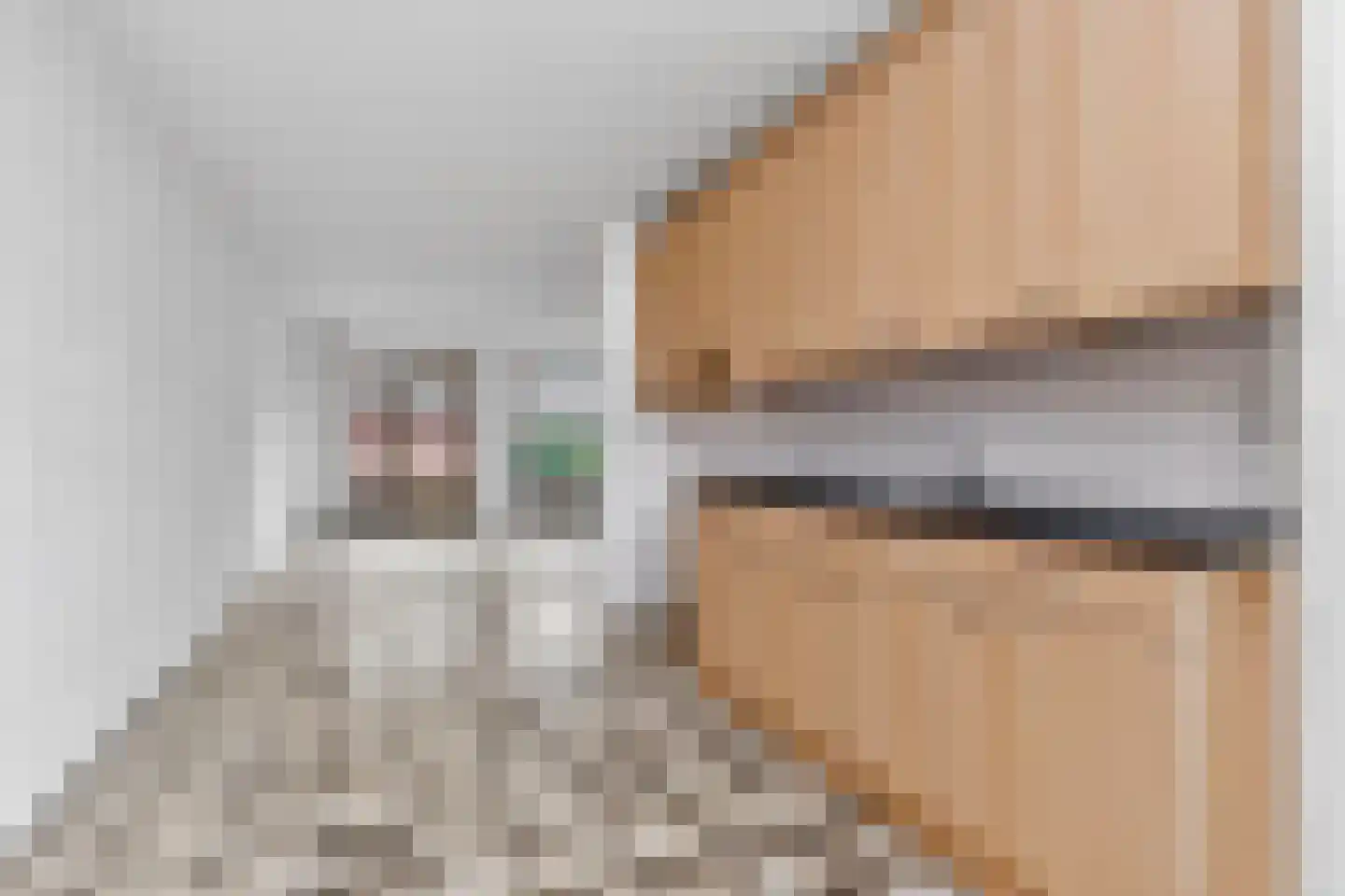 Dasseweide 26 Nieuwegein thumbnail 10