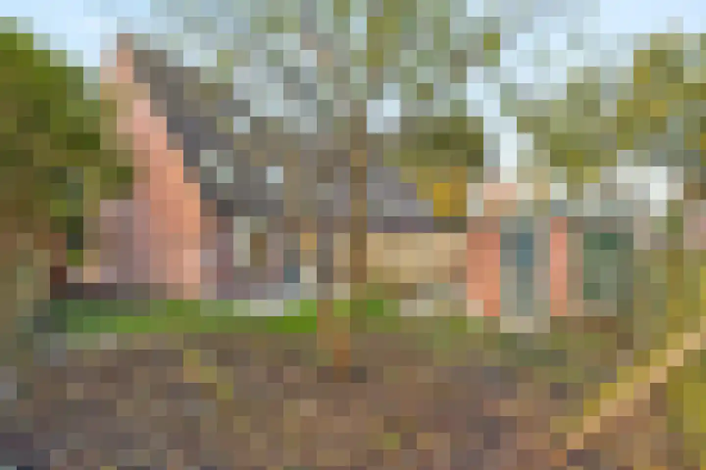 Dasseweide 26 Nieuwegein thumbnail 13