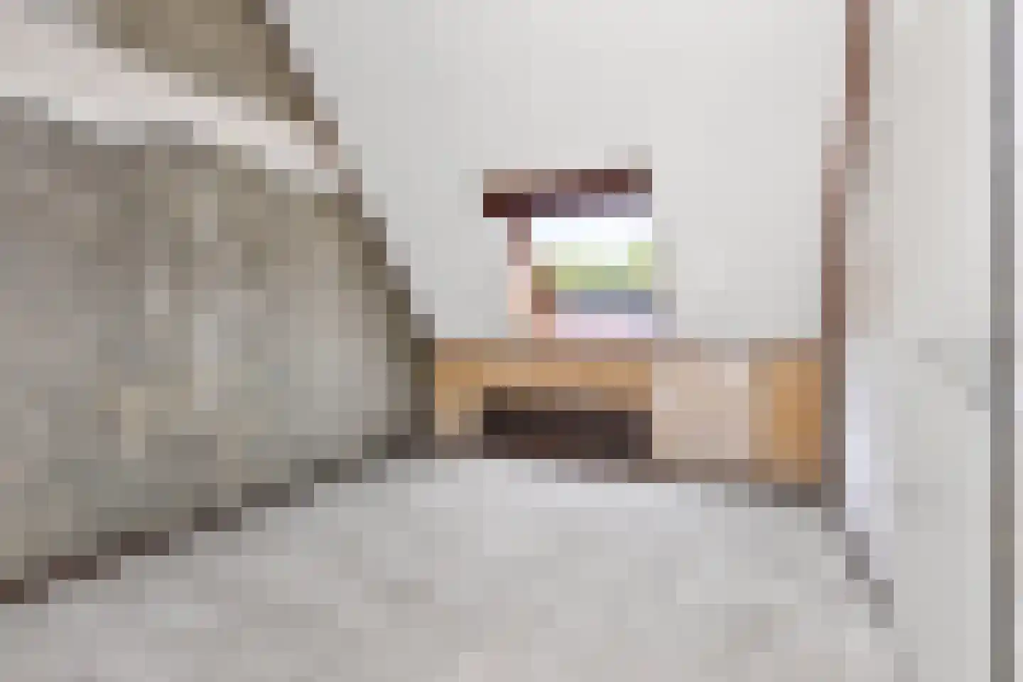 Dasseweide 26 Nieuwegein thumbnail 32