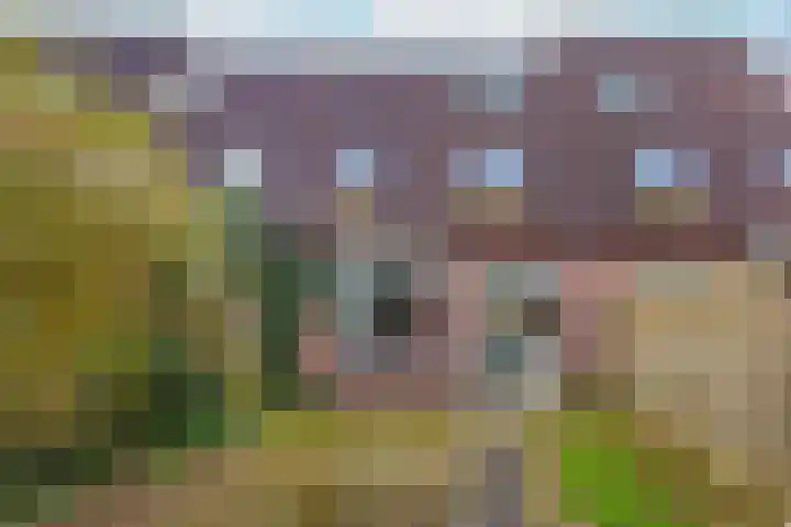 Dasseweide 30 Nieuwegein thumbnail 10