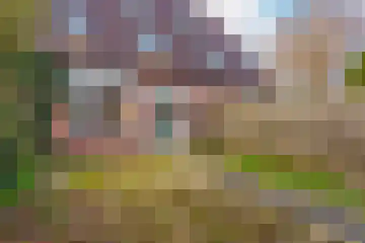 Dasseweide 30 Nieuwegein thumbnail 11