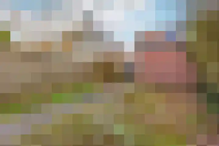 Dasseweide 30 Nieuwegein thumbnail 13