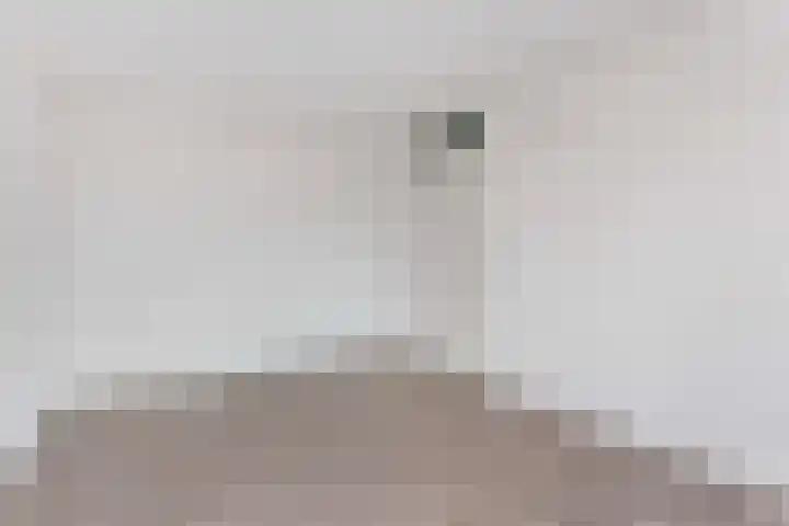 Dasseweide 30 Nieuwegein thumbnail 22
