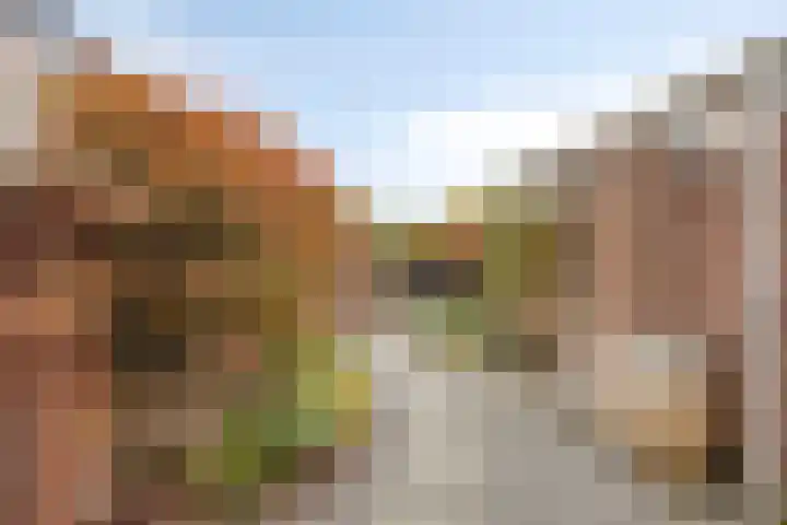 Dasstraat 11 Valkenswaard thumbnail 31