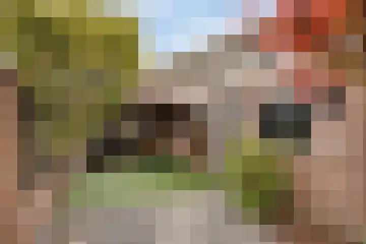 Dasstraat 11 Valkenswaard thumbnail 32