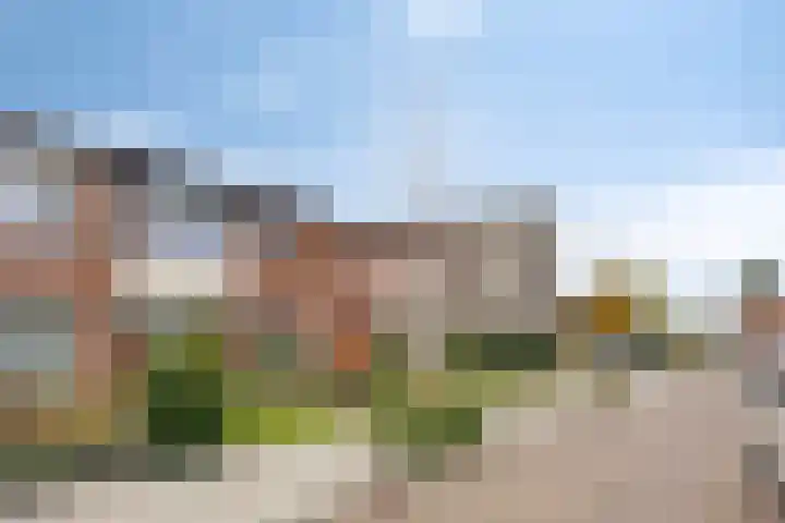 Dasstraat 11 Valkenswaard thumbnail 5