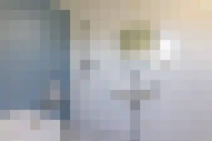 Dasstraat 23 Hengelo thumbnail 35