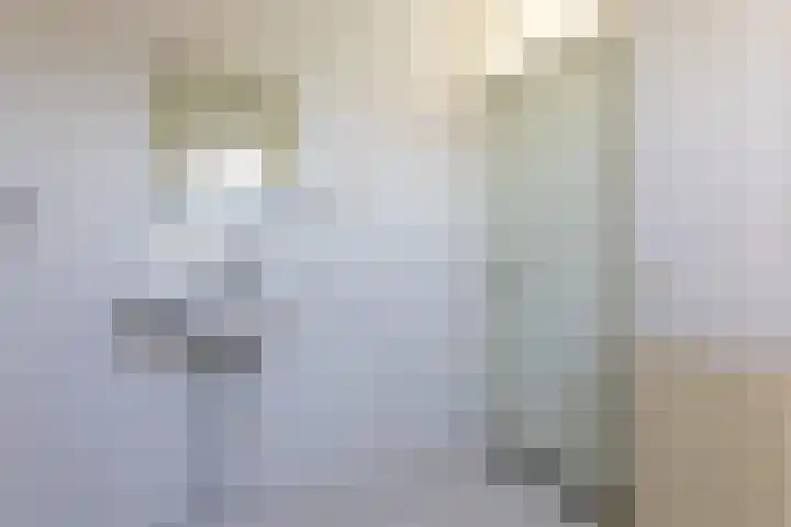 Dasstraat 23 Hengelo thumbnail 38