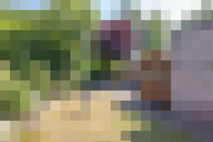 Dasstraat 23 Hengelo thumbnail 4