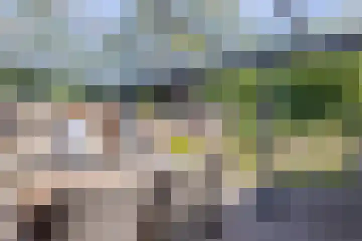Dasstraat 23 Hengelo thumbnail 43