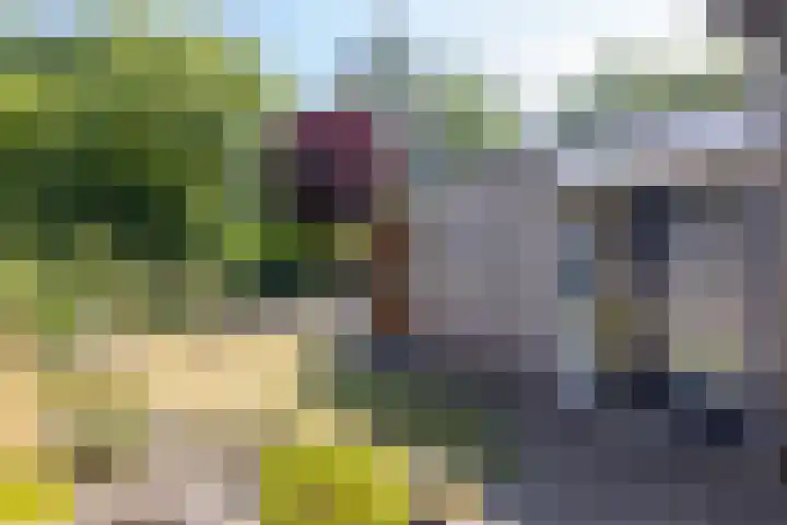 Dasstraat 23 Hengelo thumbnail 45