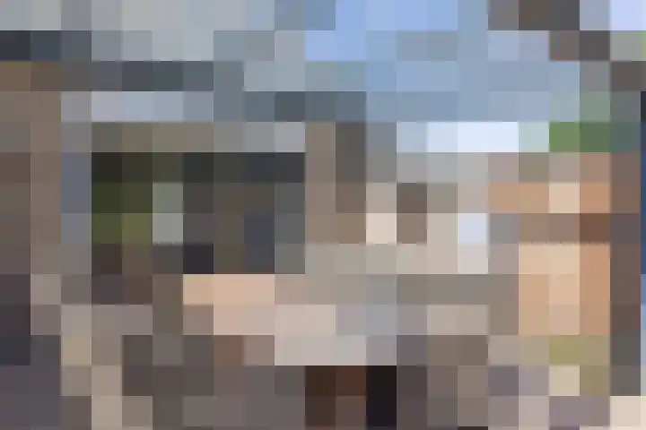 Dasstraat 23 Hengelo thumbnail 53