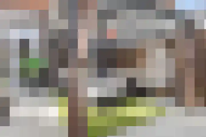Dasstraat 30 Helmond thumbnail 31