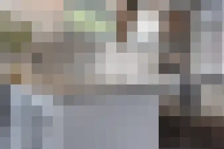 Dasstraat 30 Helmond thumbnail 8