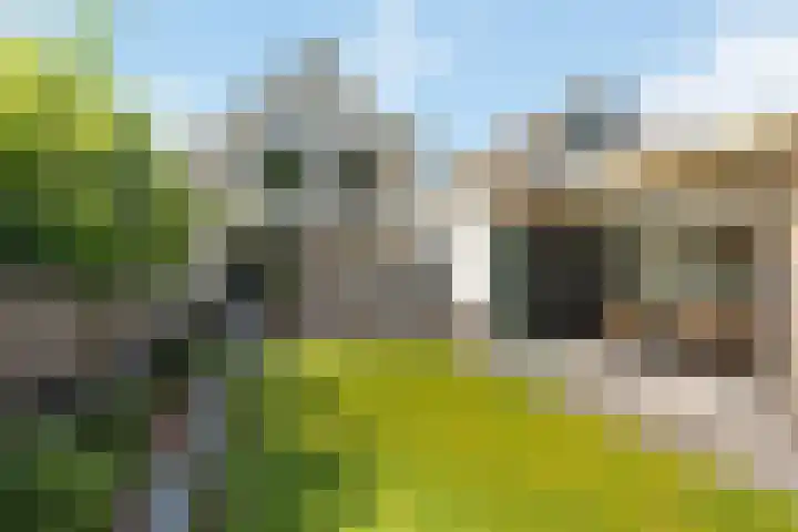 Dasstraat 35 Hengelo thumbnail 20