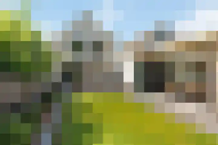 Dasstraat 35 Hengelo thumbnail 4
