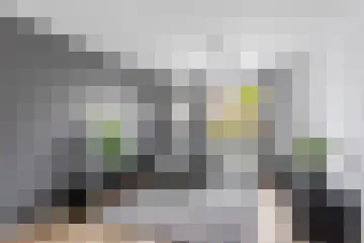 Dasstraat 35 Hengelo thumbnail 8
