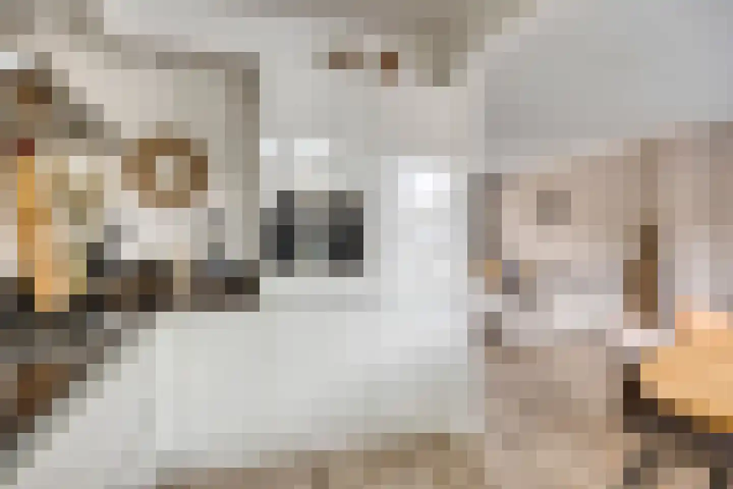Dasstraat 39 Volkel thumbnail 11