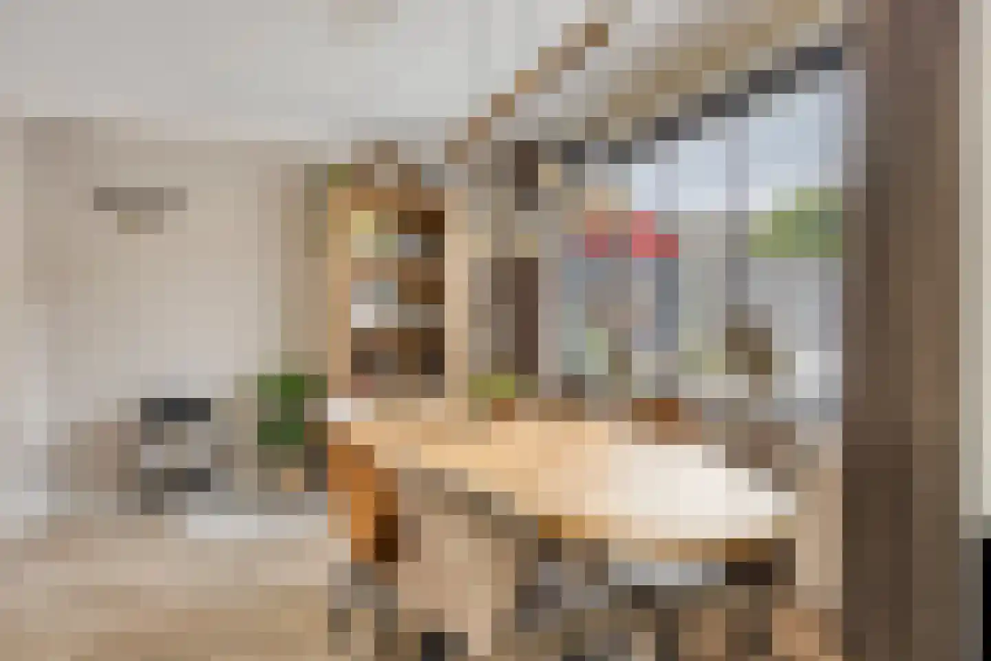 Dasstraat 39 Volkel thumbnail 12