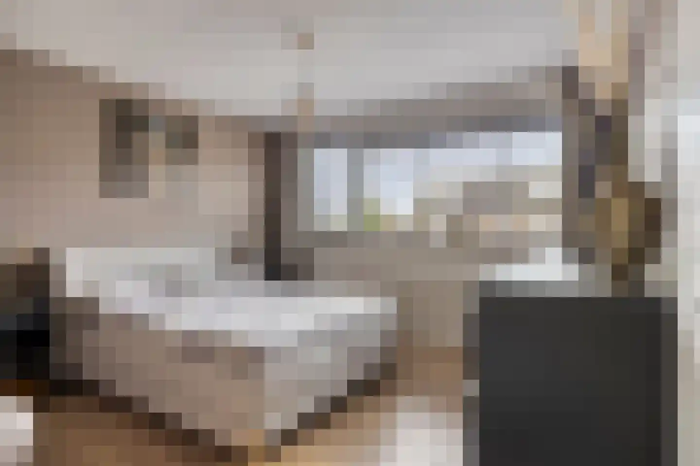 Dasstraat 39 Volkel thumbnail 16